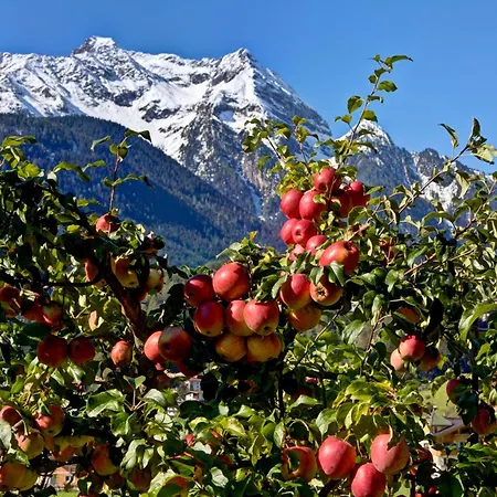 Gæstehus Gaestehaus Oblasser 3*