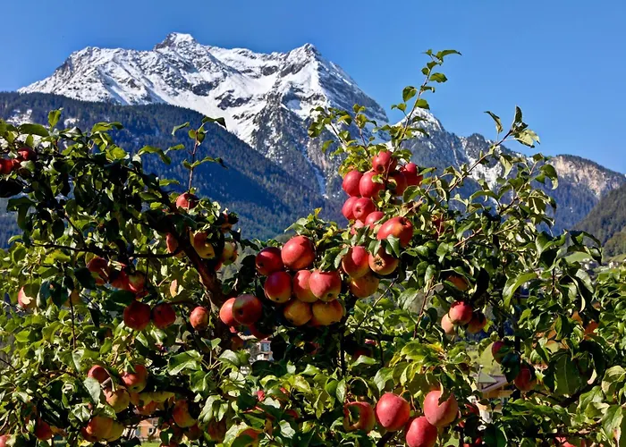 בית הארחה Gaestehaus Oblasser 3*